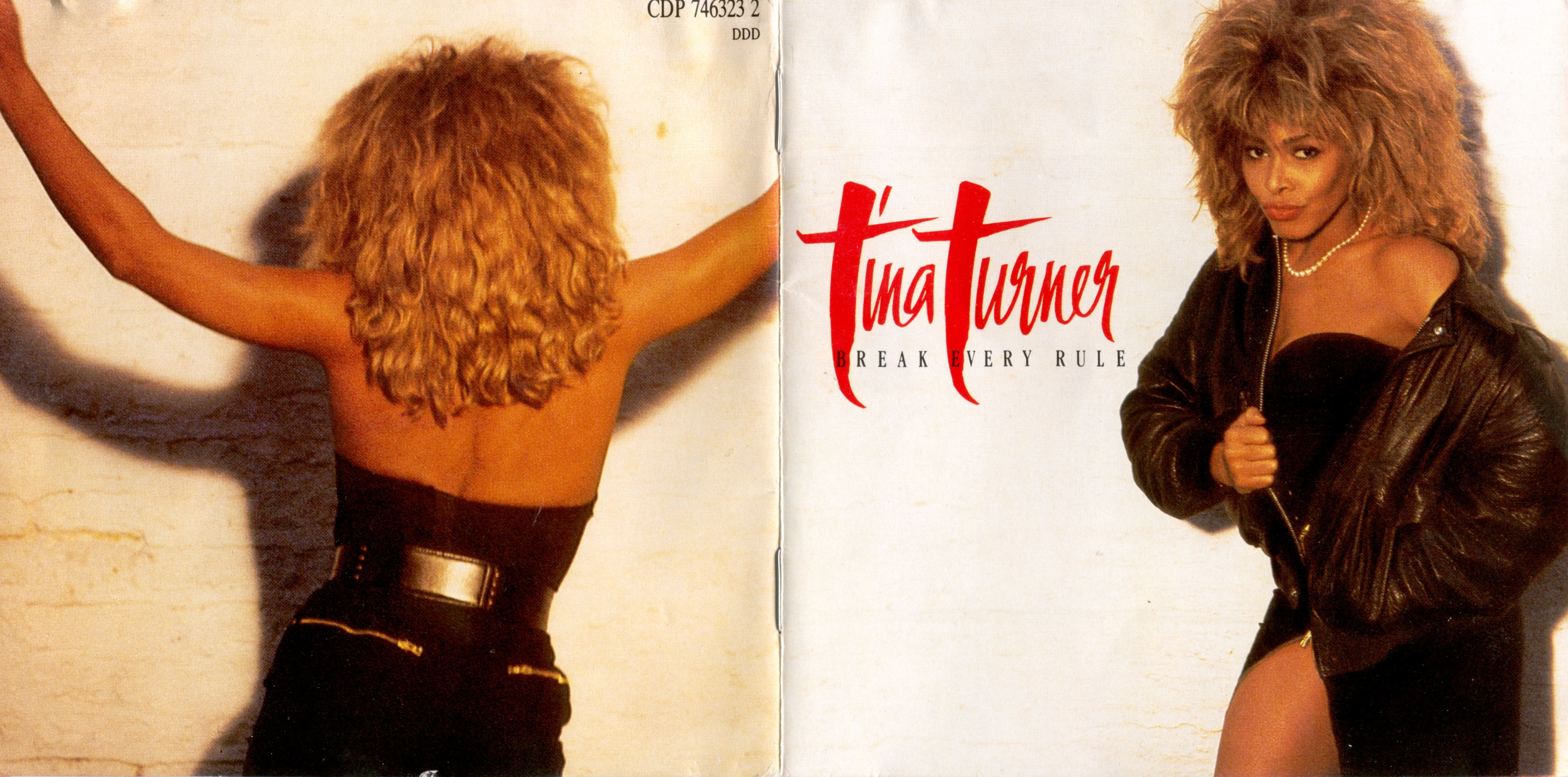 Tina Turner Break Every Rule booklet1.jpg.