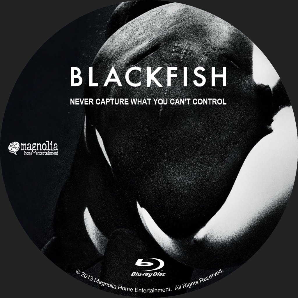 Blackfish 001 | DVD Covers | Cover Century | Over 1.000.000 Album Art ...